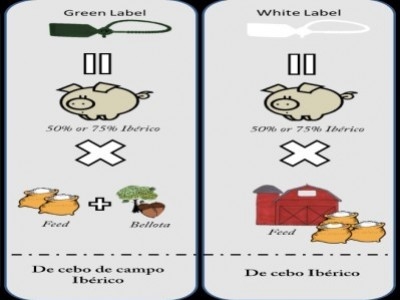 What is Cebo de Campo and Cebo Iberico Ham?