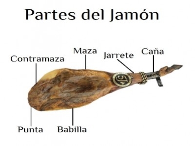 Partes del jamón